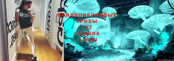 тгк Богородицк