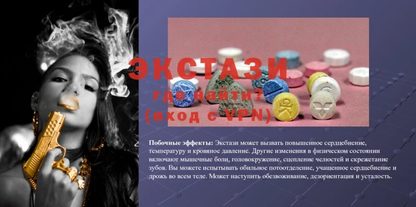 тгк Богородицк