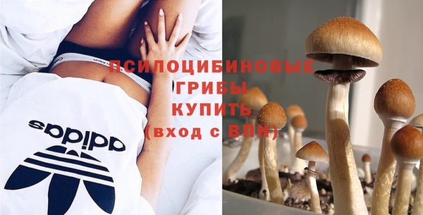 тгк Богородицк