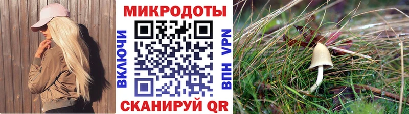 Галлюциногенные грибы MAGIC MUSHROOMS блэк спрут зеркало Кореновск